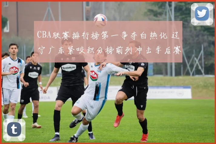 CBA联赛排行榜第一争夺白热化 辽宁广东紧咬积分榜前列冲击季后赛优势